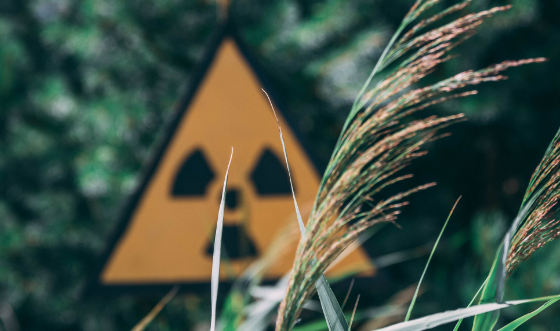 17090857064996.png 17090857064996.png