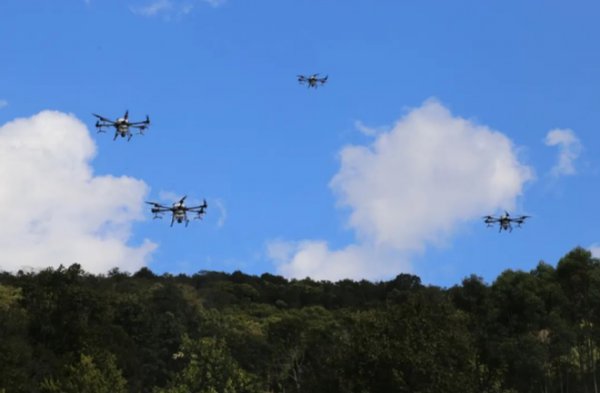 17206863058678.png image.png