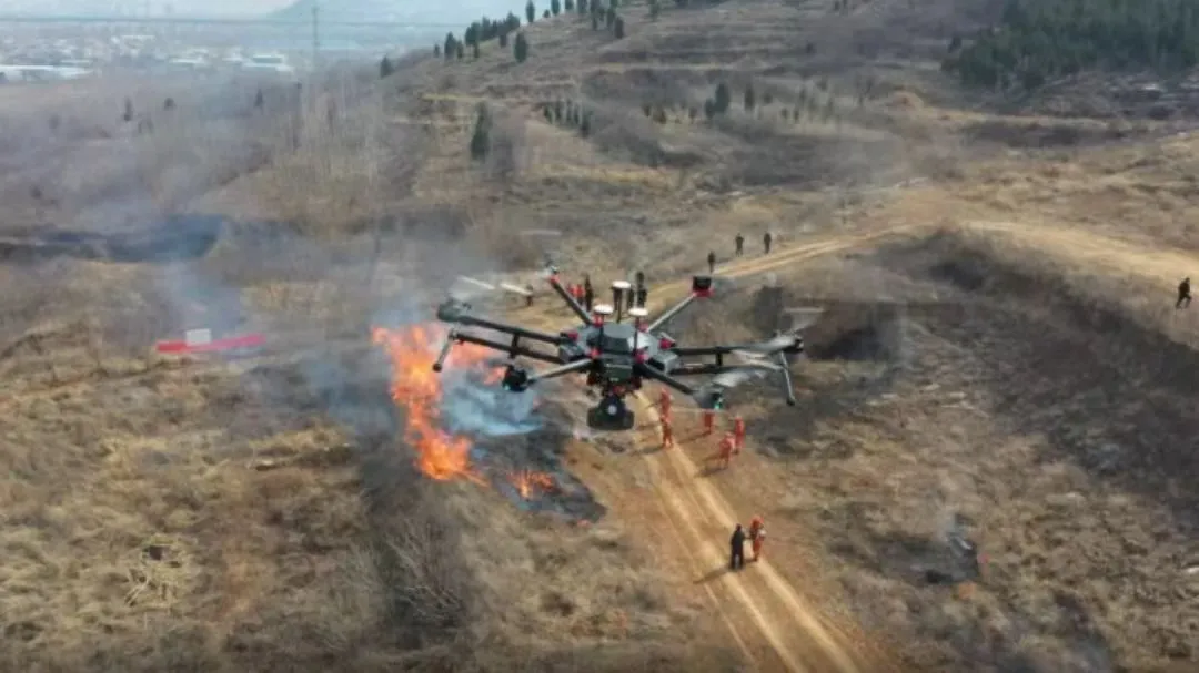 17243963542801.png 17243963542801.png