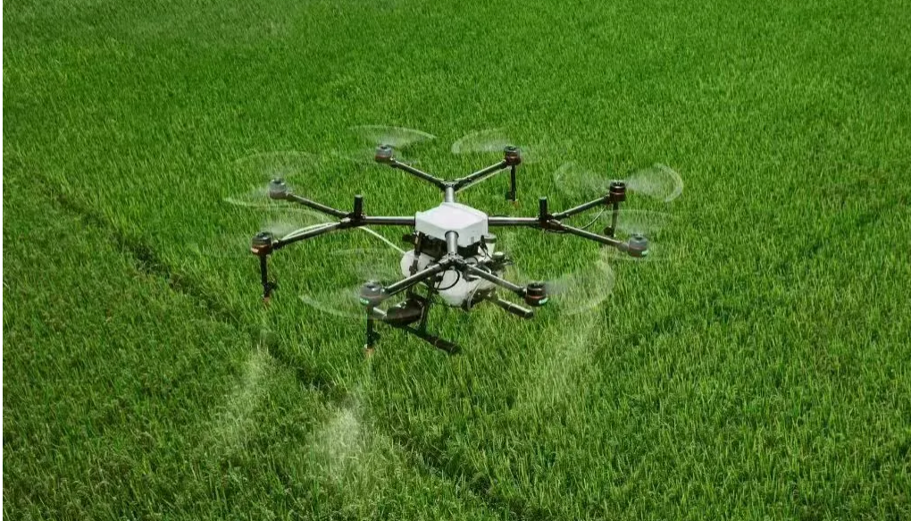 17243964004288.png 17243964004288.png