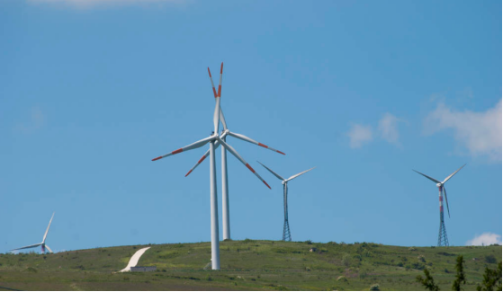 17326013822174.png image.png