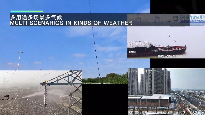 17338832973124.png 17338832973124.png