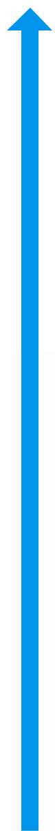99.jpg